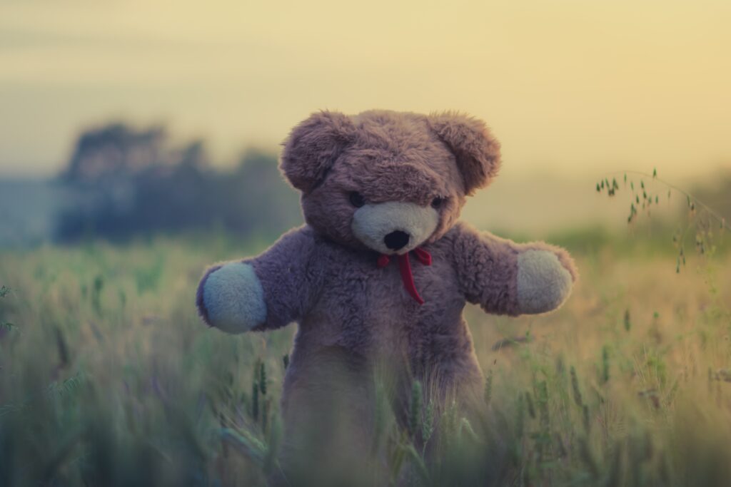 brown teddy bear on green grass